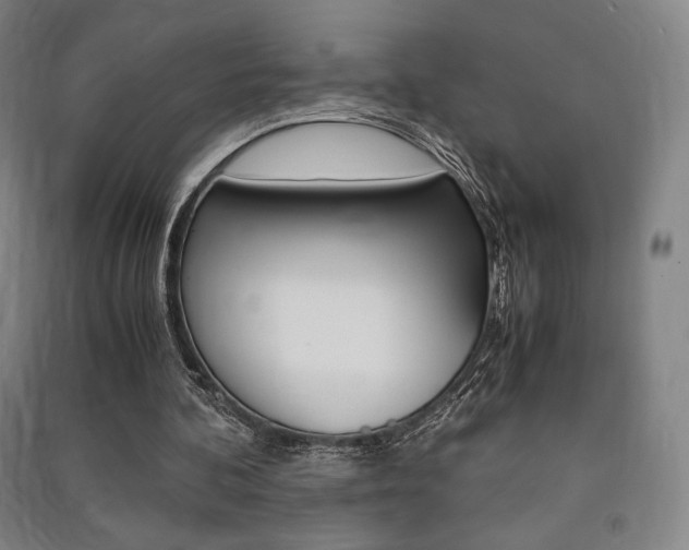 X0000091500292200708161239