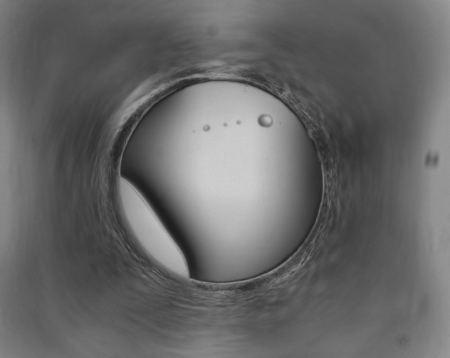 X0000091500295200708161239