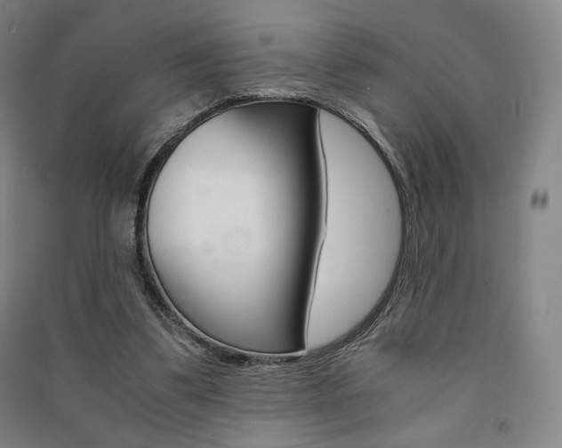 X0000091500299200708161239