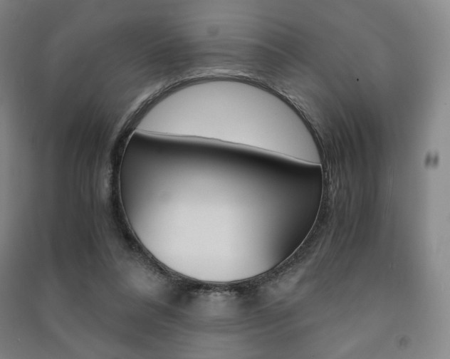 X0000091500304200708161239