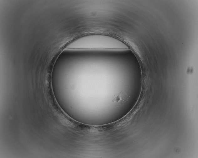 X0000091500305200708161239