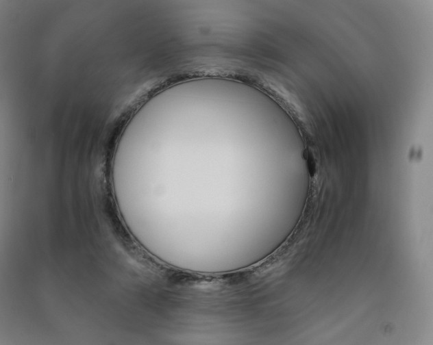 X0000091500306200708161239