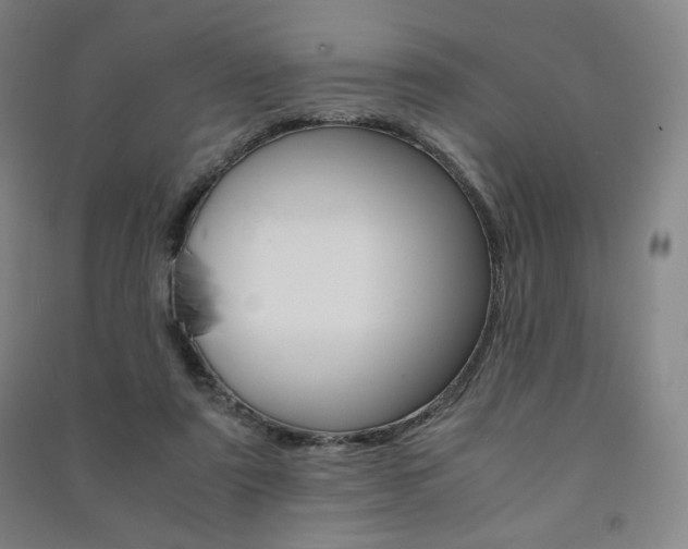 X0000091500307200708161239