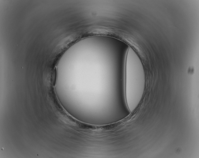 X0000091500309200708161239