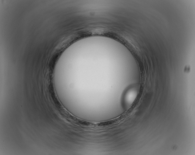X0000091500311200708161239