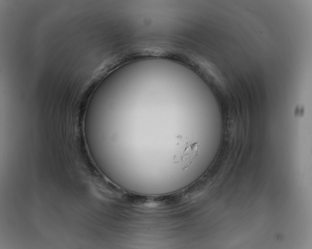 X0000091500312200708161239