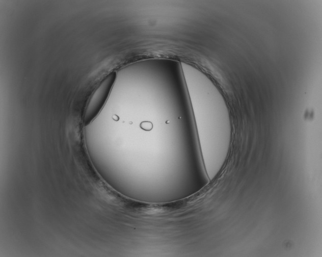 X0000091500313200708161239