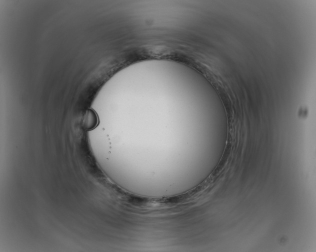 X0000091500319200708161239