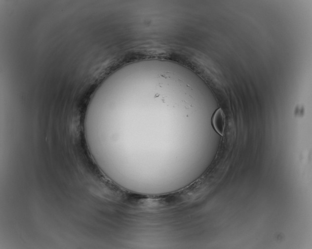 X0000091500320200708161239