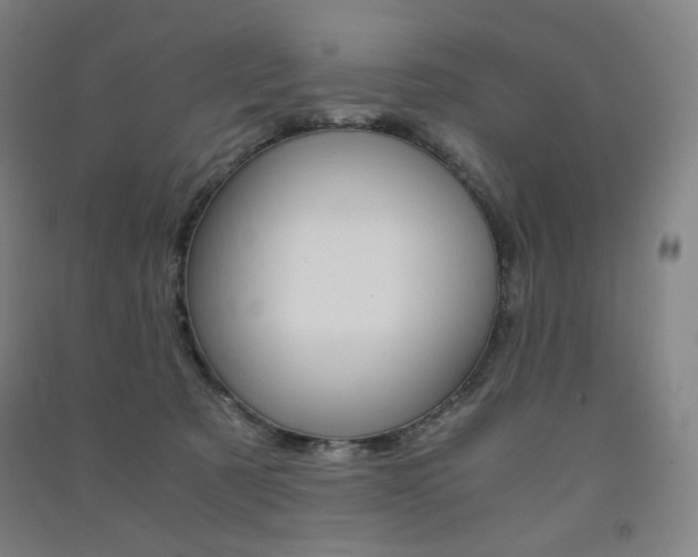 X0000091500321200708161239