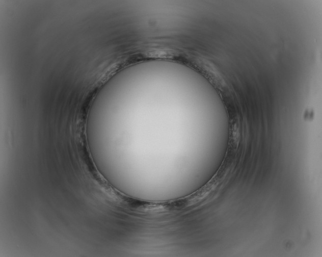 X0000091500322200708161239