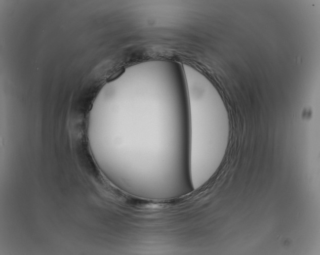 X0000091500323200708161239