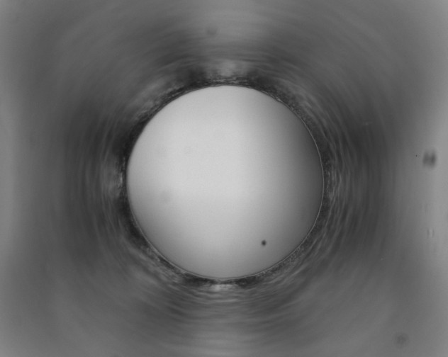 X0000091500324200708161239