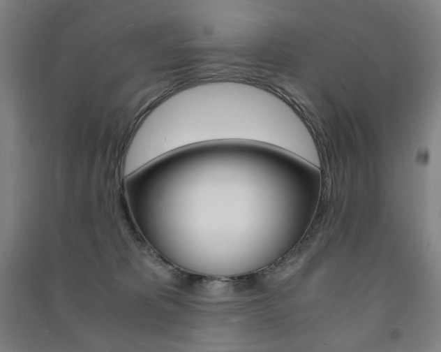 X0000091500325200708161239