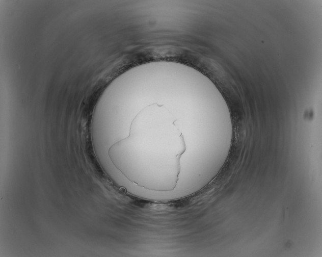 X0000091500327200708161239