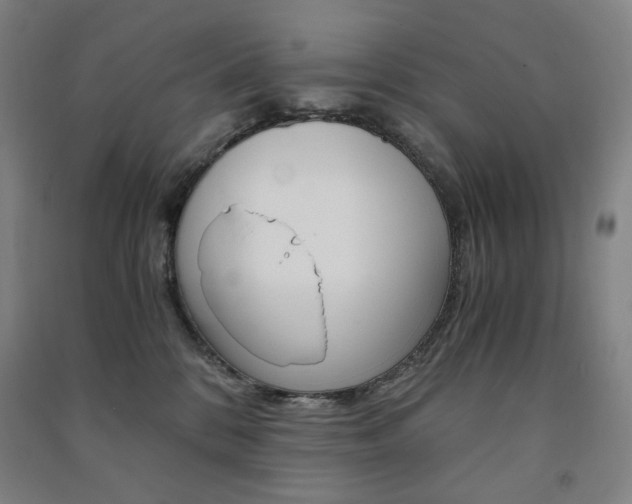X0000091500328200708161239