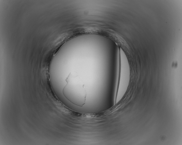 X0000091500329200708161239