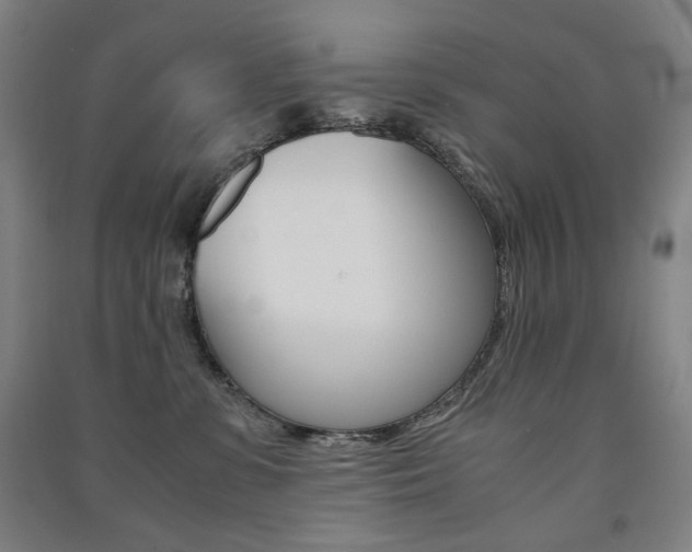 X0000091500331200708161239