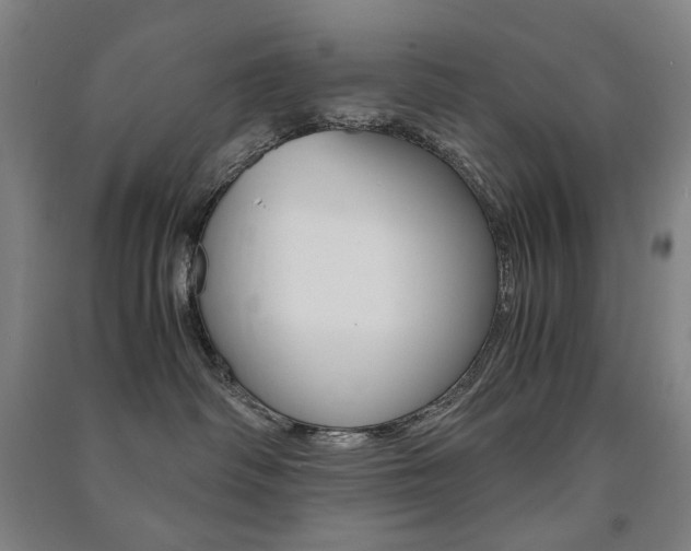 X0000091500334200708161239
