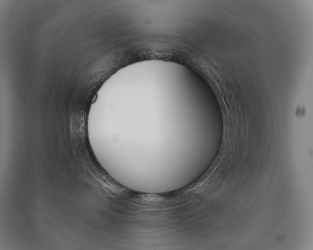 X0000091500336200708161239