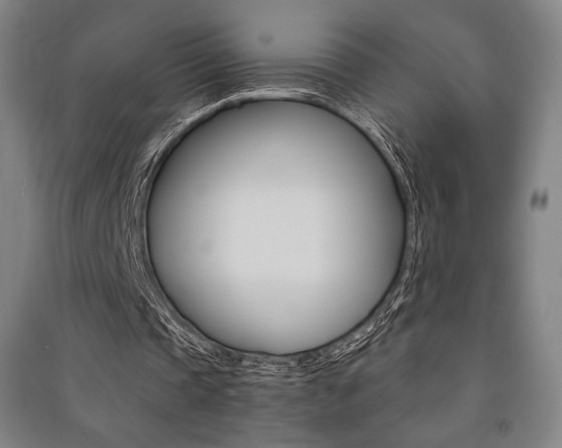 X0000091500337200708161238