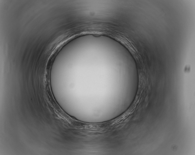 X0000091500338200708161238