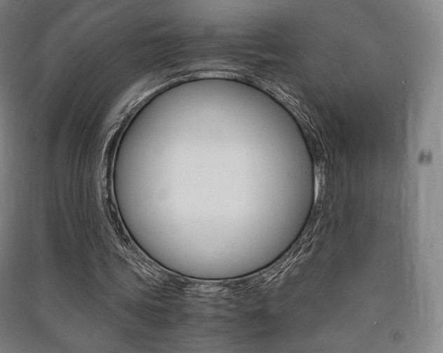 X0000091500339200708161238