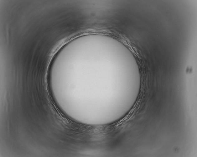 X0000091500340200708161238