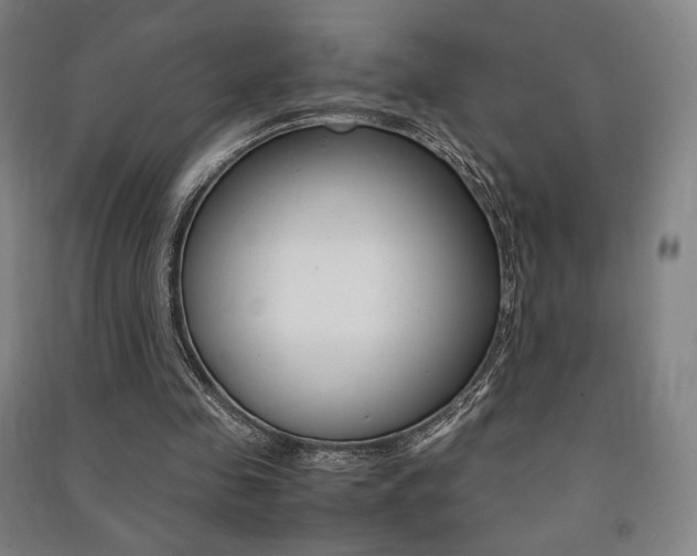 X0000091500341200708161238