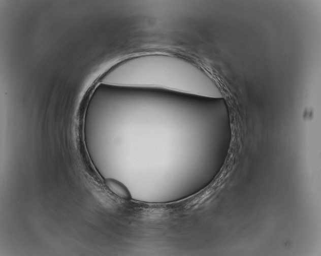 X0000091500342200708161238