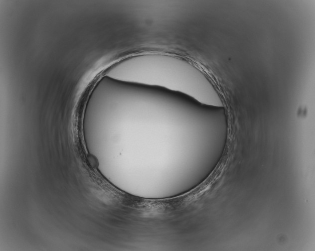 X0000091500343200708161238