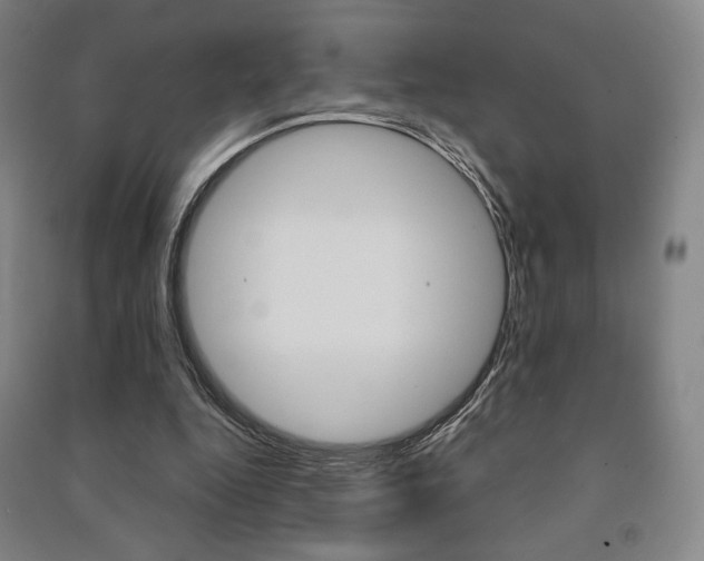X0000091500344200708161238
