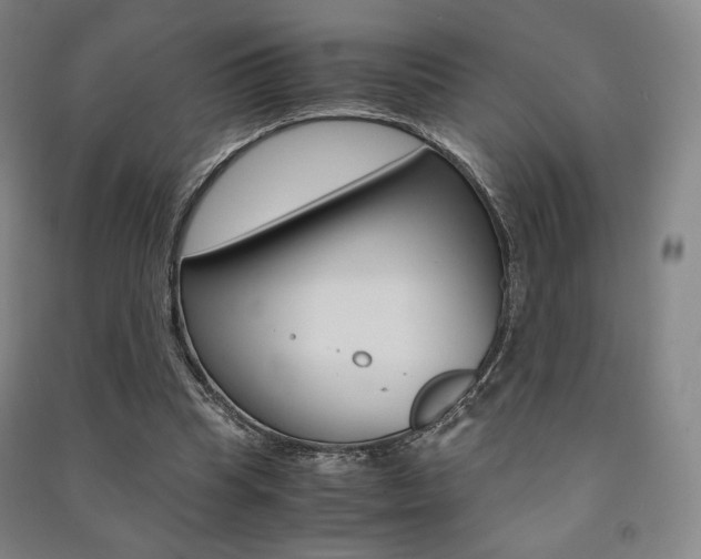 X0000091500345200708161238
