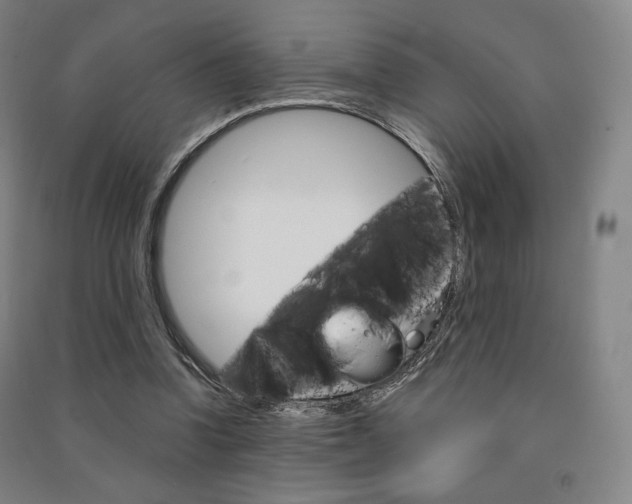 X0000091500346200708161238