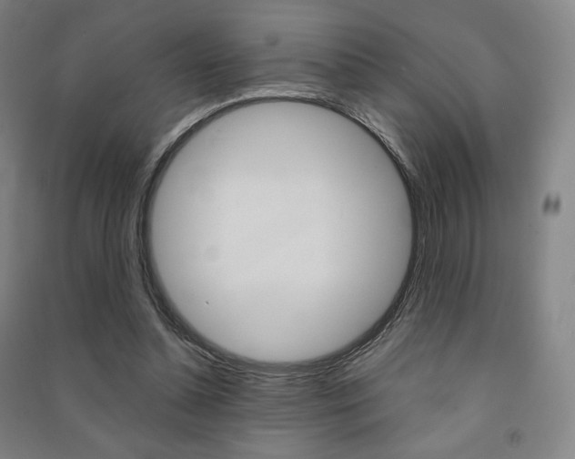 X0000091500348200708161238