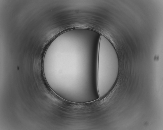 X0000091500349200708161238
