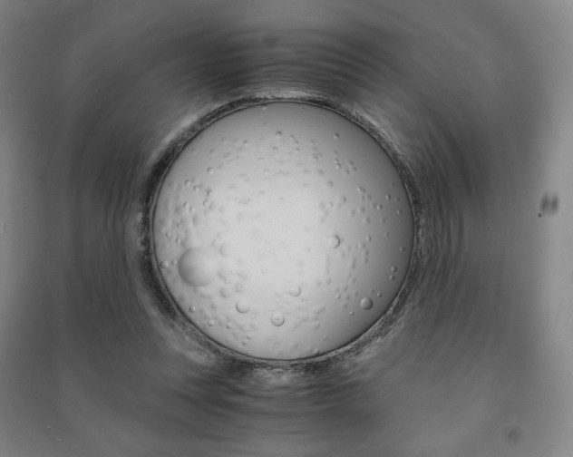 X0000091500351200708161238