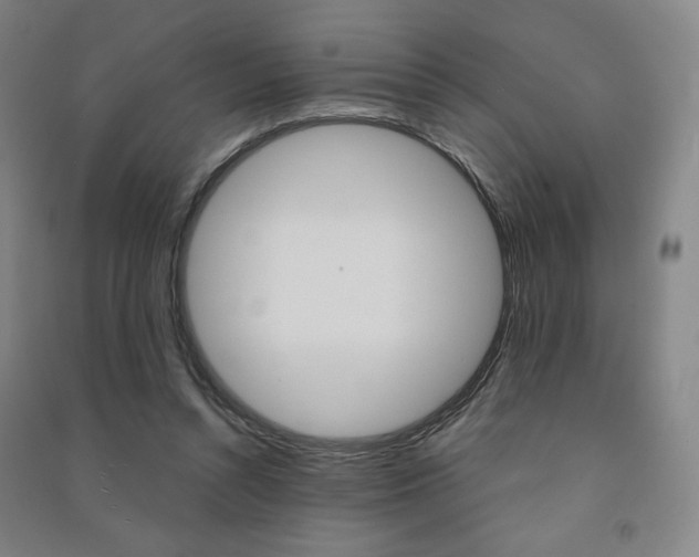 X0000091500352200708161238