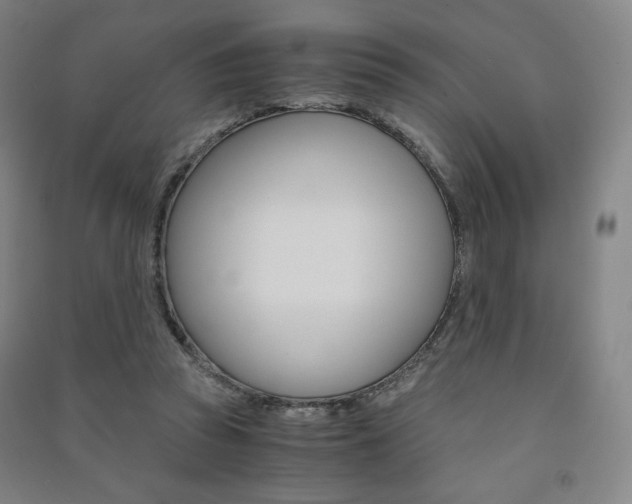 X0000091500353200708161238