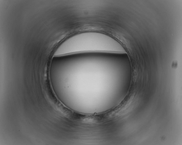 X0000091500358200708161239