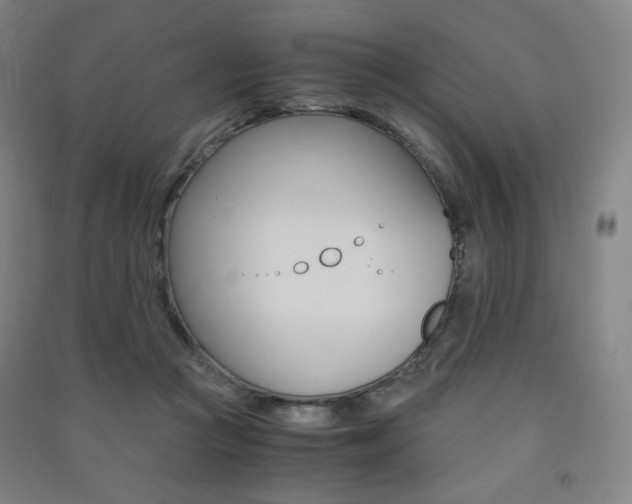 X0000091500361200708161239