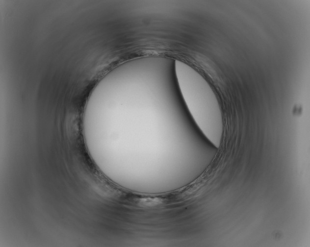 X0000091500363200708161239