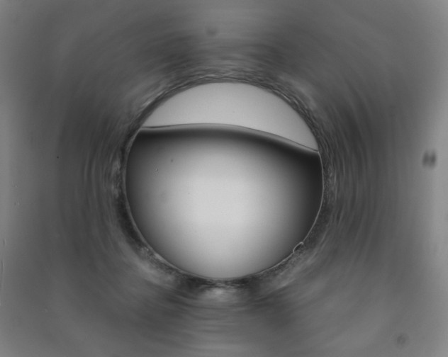 X0000091500364200708161239