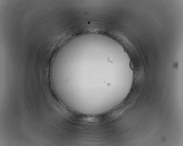X0000091500365200708161239