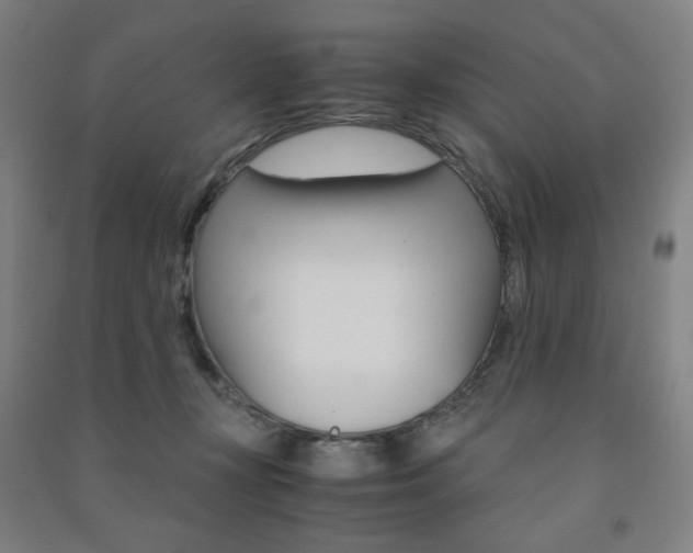 X0000091500367200708161239