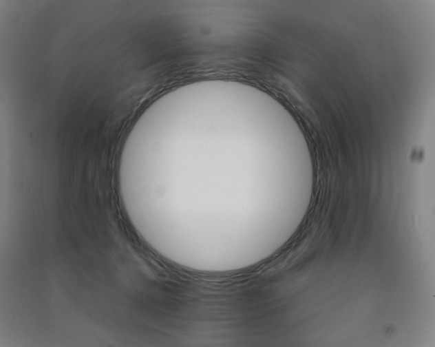 X0000091500368200708161239