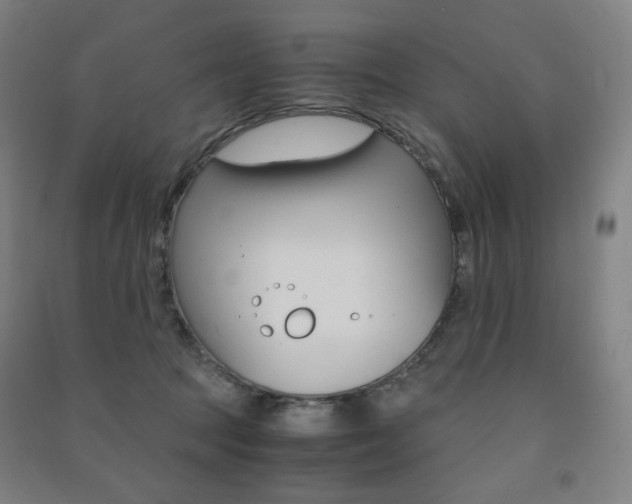 X0000091500369200708161239