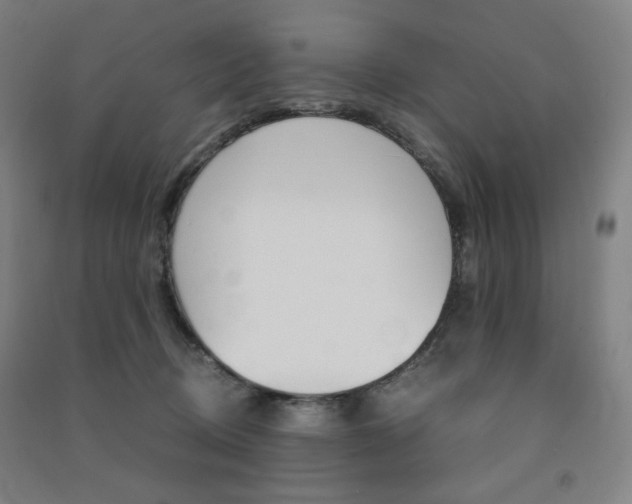 X0000091500370200708161239