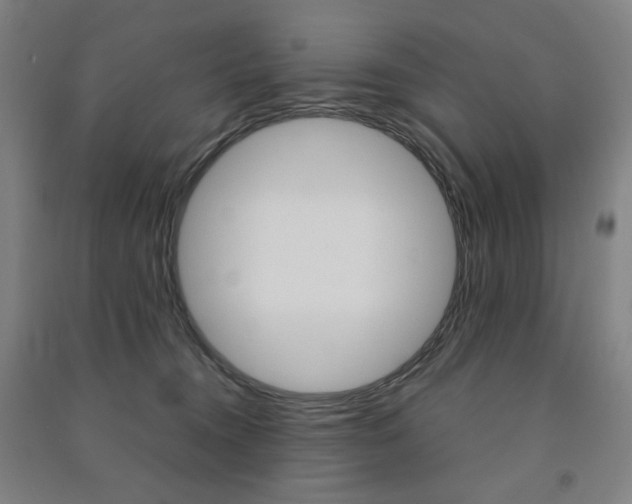 X0000091500372200708161239