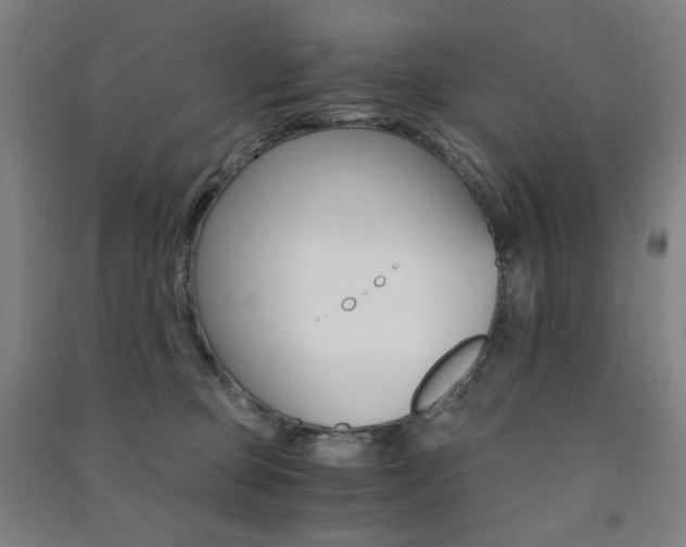 X0000091500373200708161239